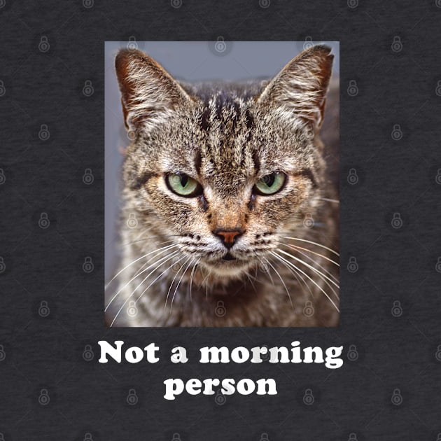 Not a Morning Person Grumpy Kitty for Men & Women by Pine Hill Goods